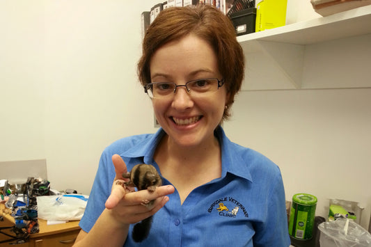 Welcome to Lovely Little Lorikeet HQ!
