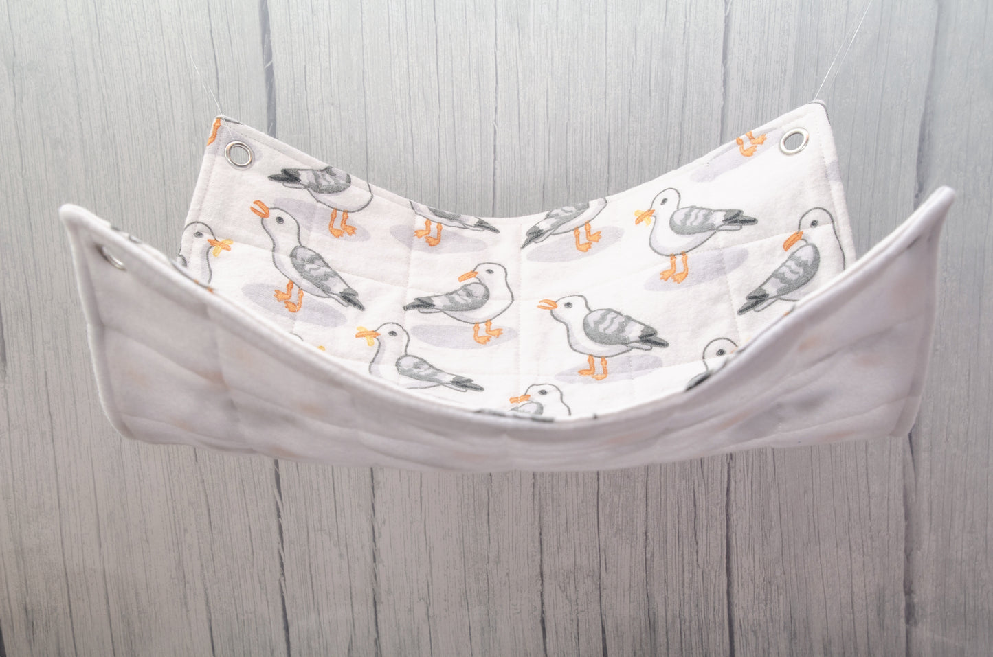 seagull rat hammock flat photo