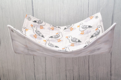 seagull rat hammock flat photo