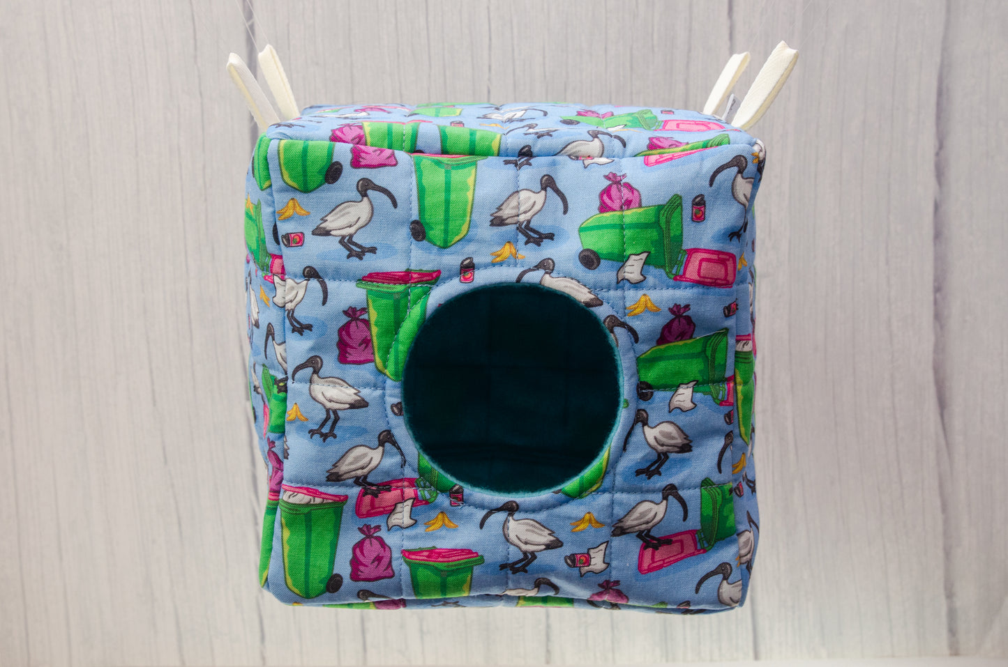 Bin chicken, australian white ibis cube hammock photo