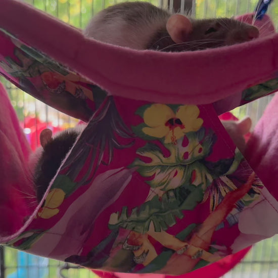 double hammock video